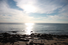 Crystal Cove State Park, Photo taken by Melody Calvert Photography